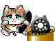 cat 38